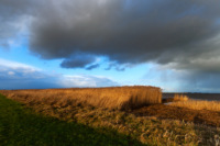 elbe-bei-freiburg-nds