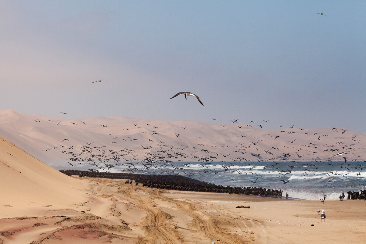 frank-faber-sandwich-harbour-namibia