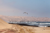 frank-faber-sandwich-harbour-namibia