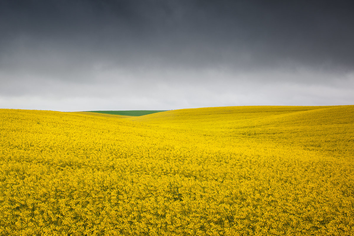 gelbes-feld-mit-gruenem-dreieck