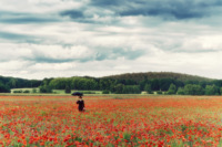 lost-in-a-field-of-poppy