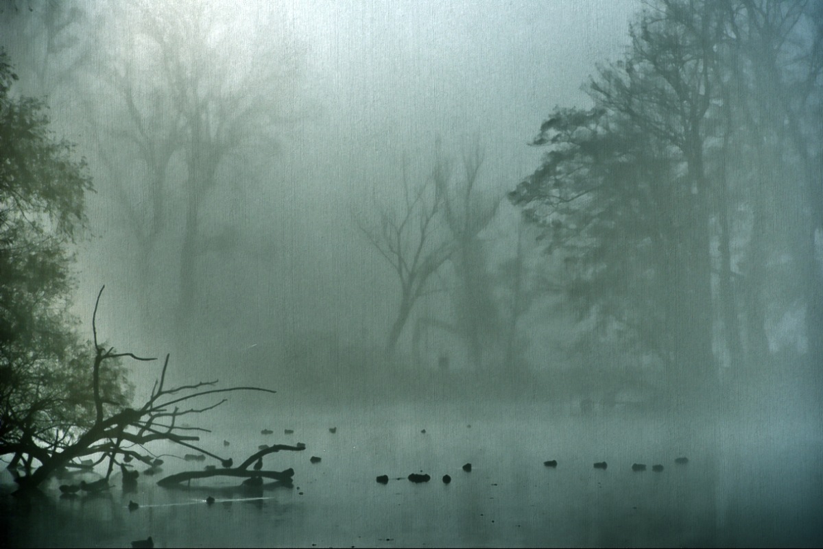 misty-lake-1-von-1